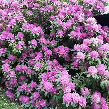 Vendégház L'envie D'ailleurs