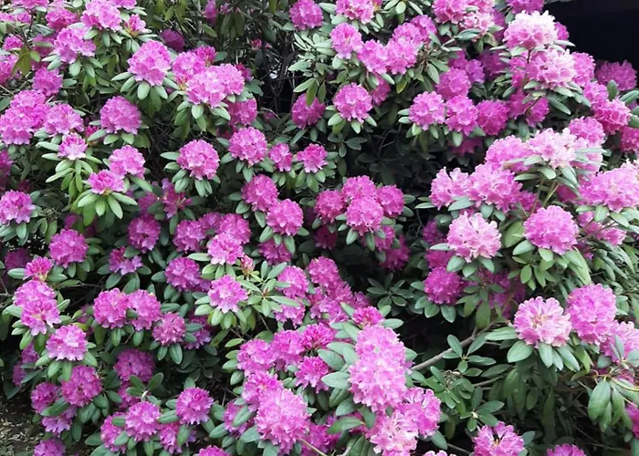 Vendégház L'envie D'ailleurs